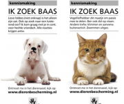 Dierenbescherming aanwezig bij tuincentrum Suidgeest.