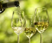 Vinaison Biologische wijnen