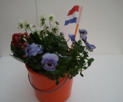 kom een koninginnedagbloepot versieren