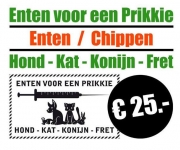 Enten voor een Prikkie
