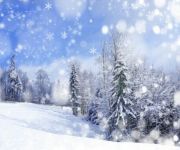Winterfair