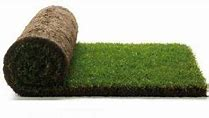 Graszode