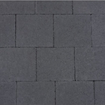 Puras strak zwart