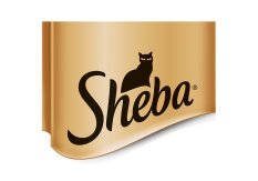 Sheba