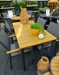 Tafel Carum VIIII