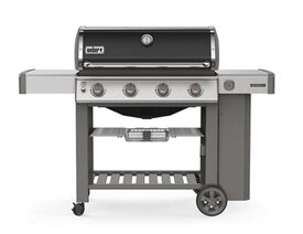 Weber genesis II E410