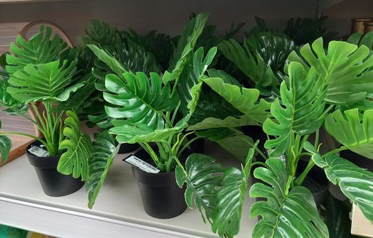 Zijde bloemen en planten