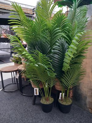 Zijde bloemen en planten